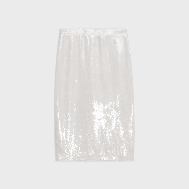 Slim Pencil Skirt in Recycled Sequins 1