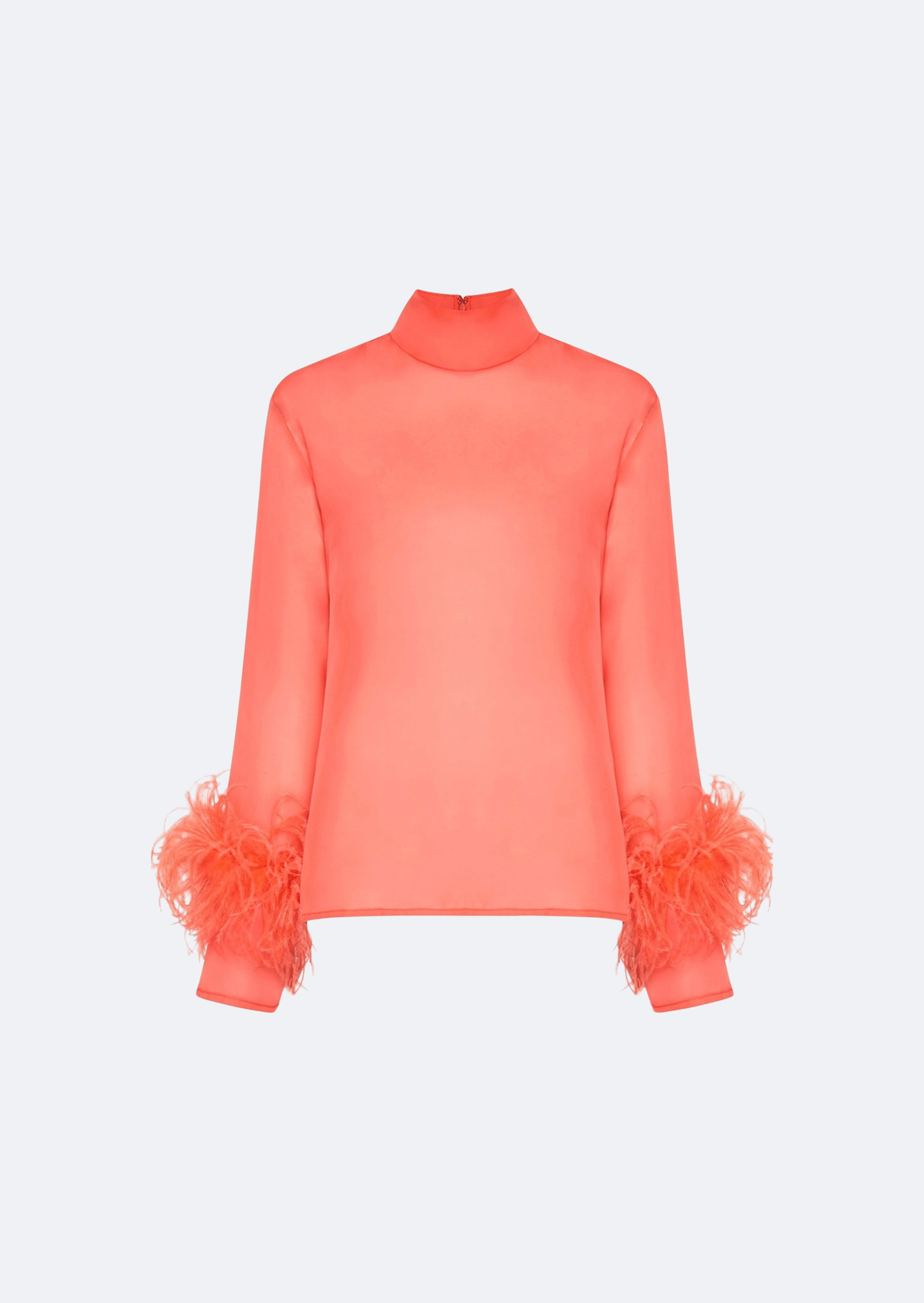 Organza Top With Feathers - 1