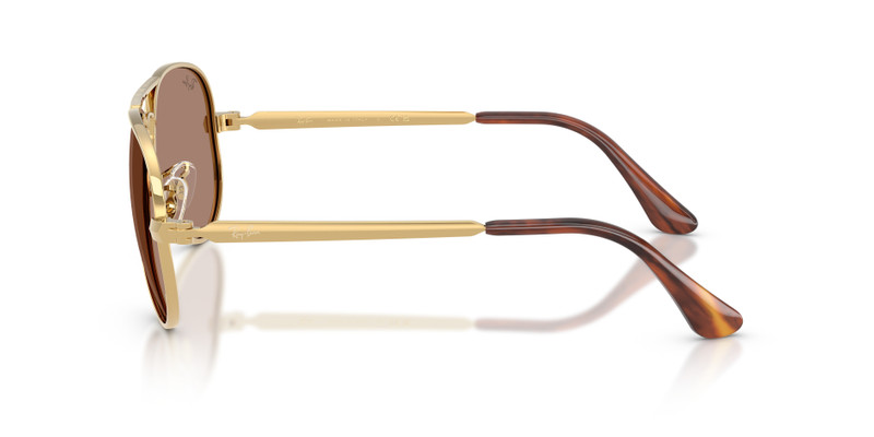 AVIATOR MAX HOLIDAY LIMITED 6