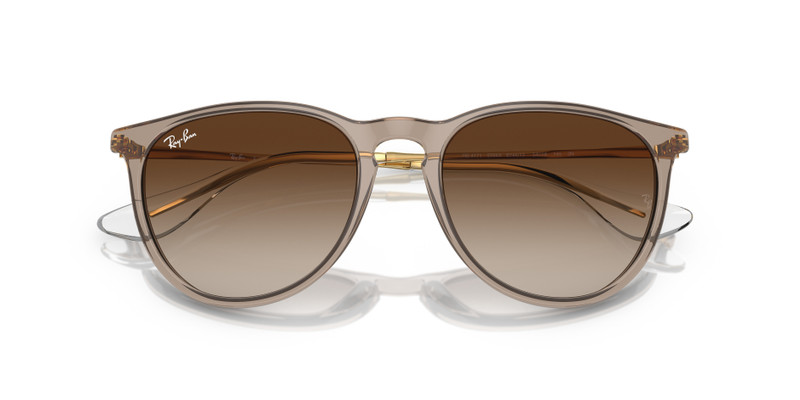 Ray-Ban ERIKA CLASSIC outlook