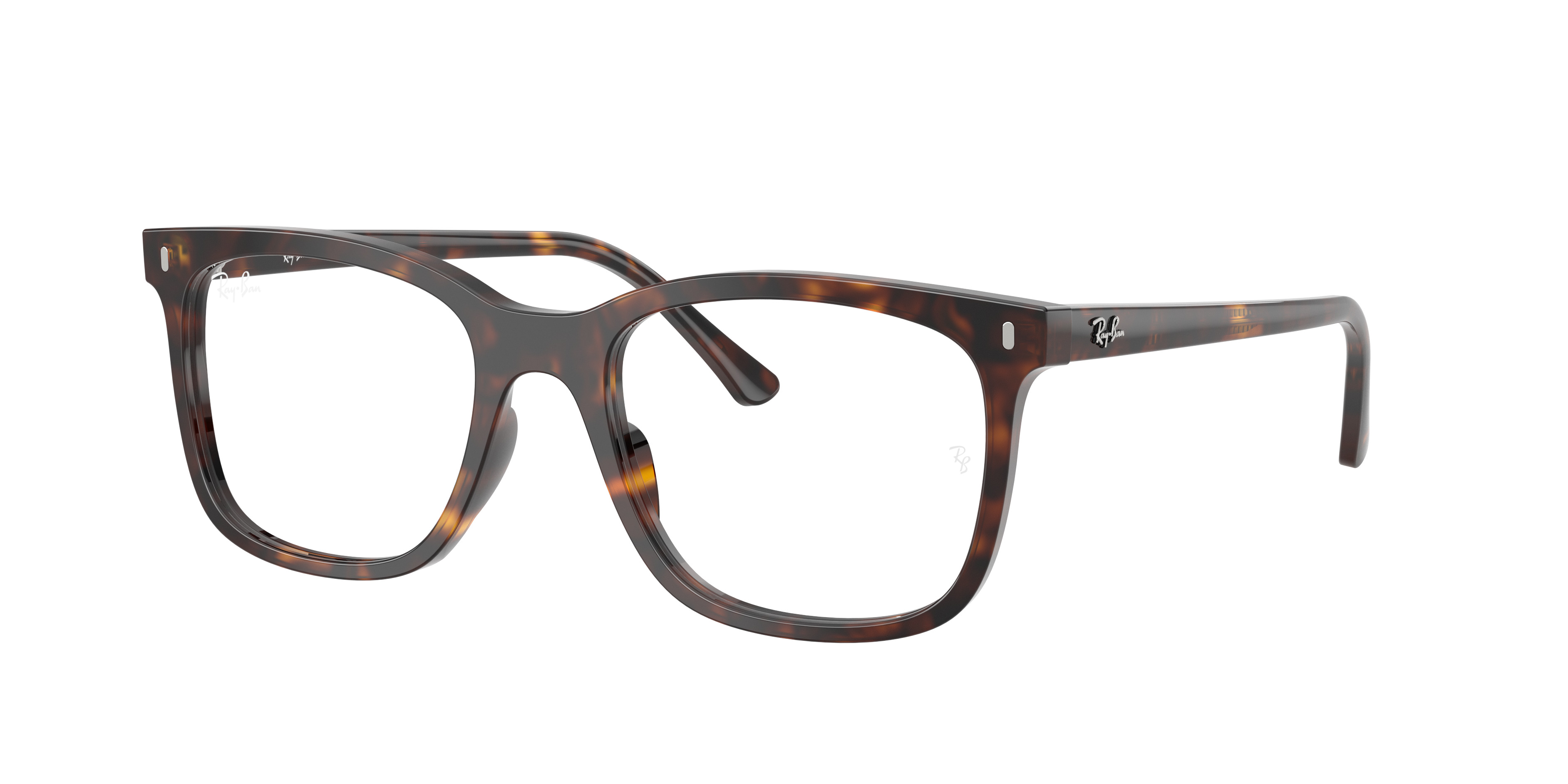 RB5446 OPTICS - 3