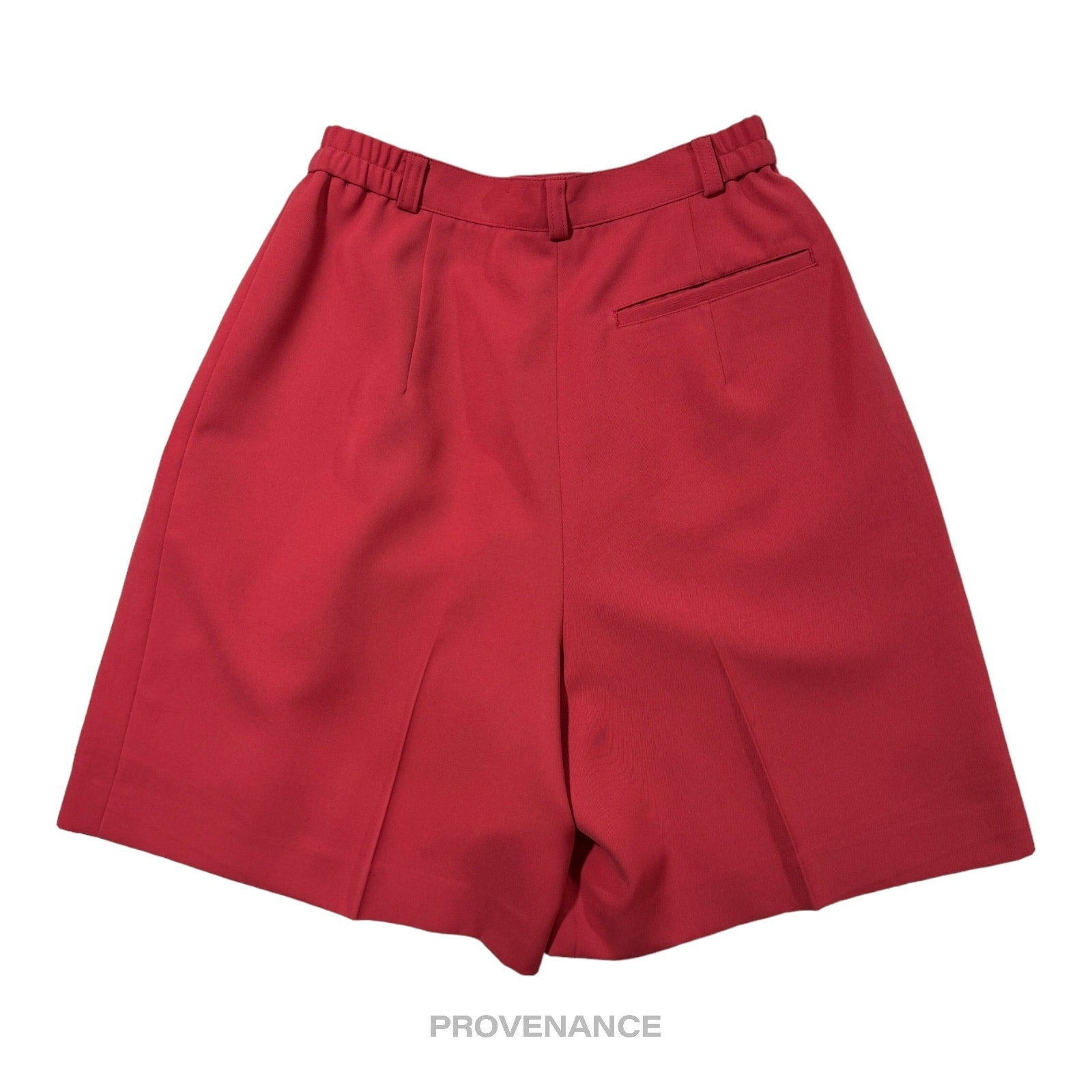 Balenciaga Sports Pleated Skirt - Raspberry M - 2