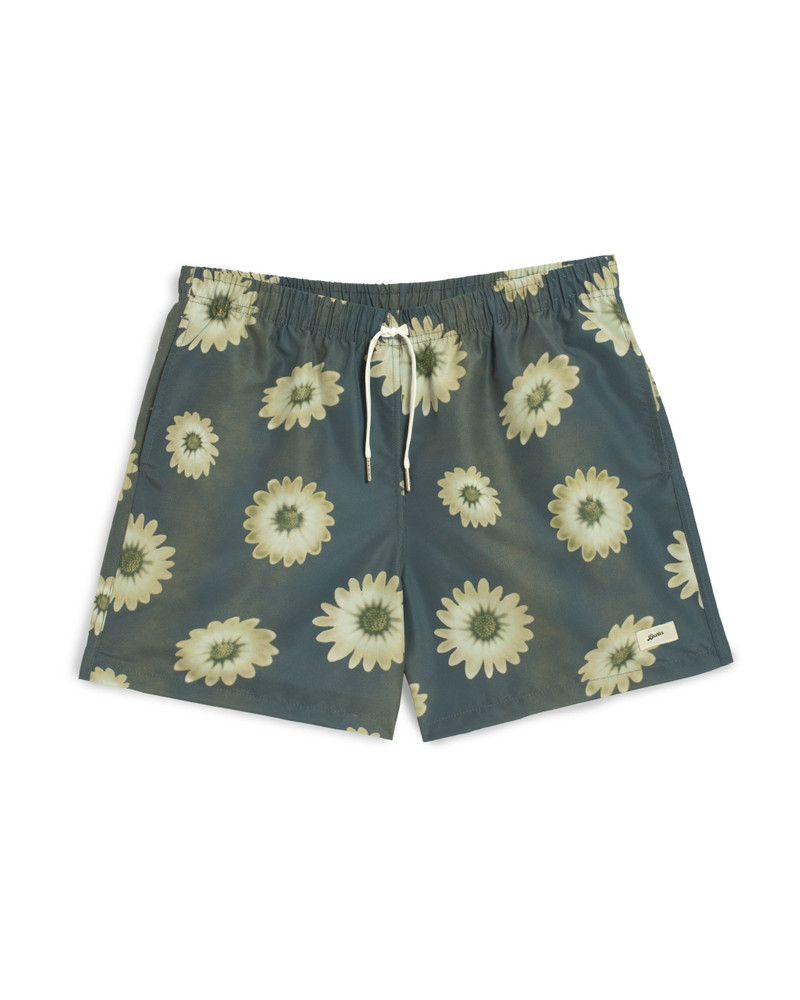Concrete Air Garden Swim Trunk 1