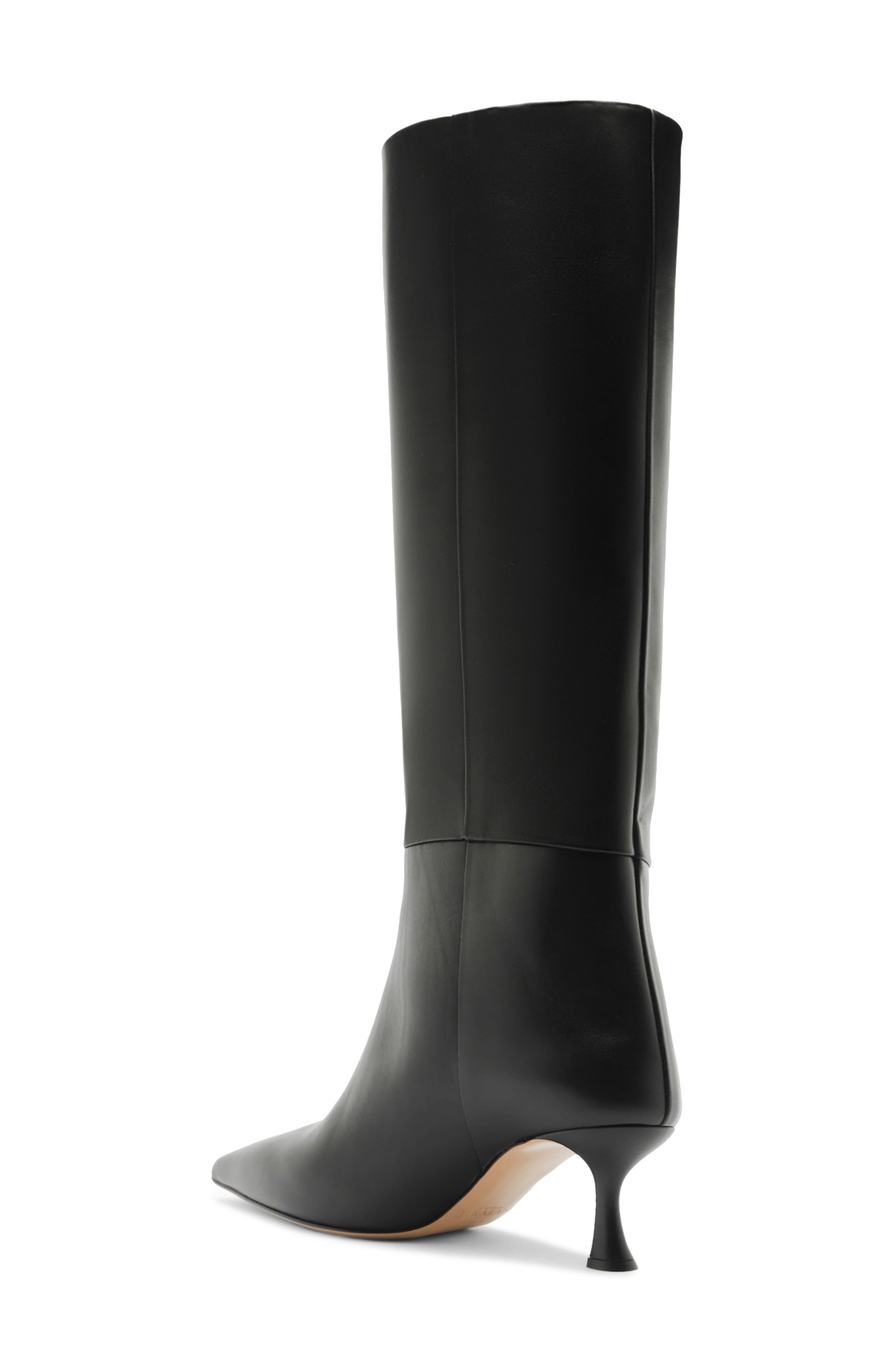 Alexandre Birman Brena Pointed Toe Knee High Boot in Black at Nordstrom - 2
