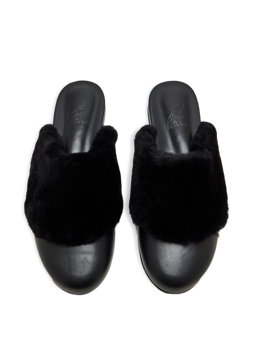 Thyone mules - 3