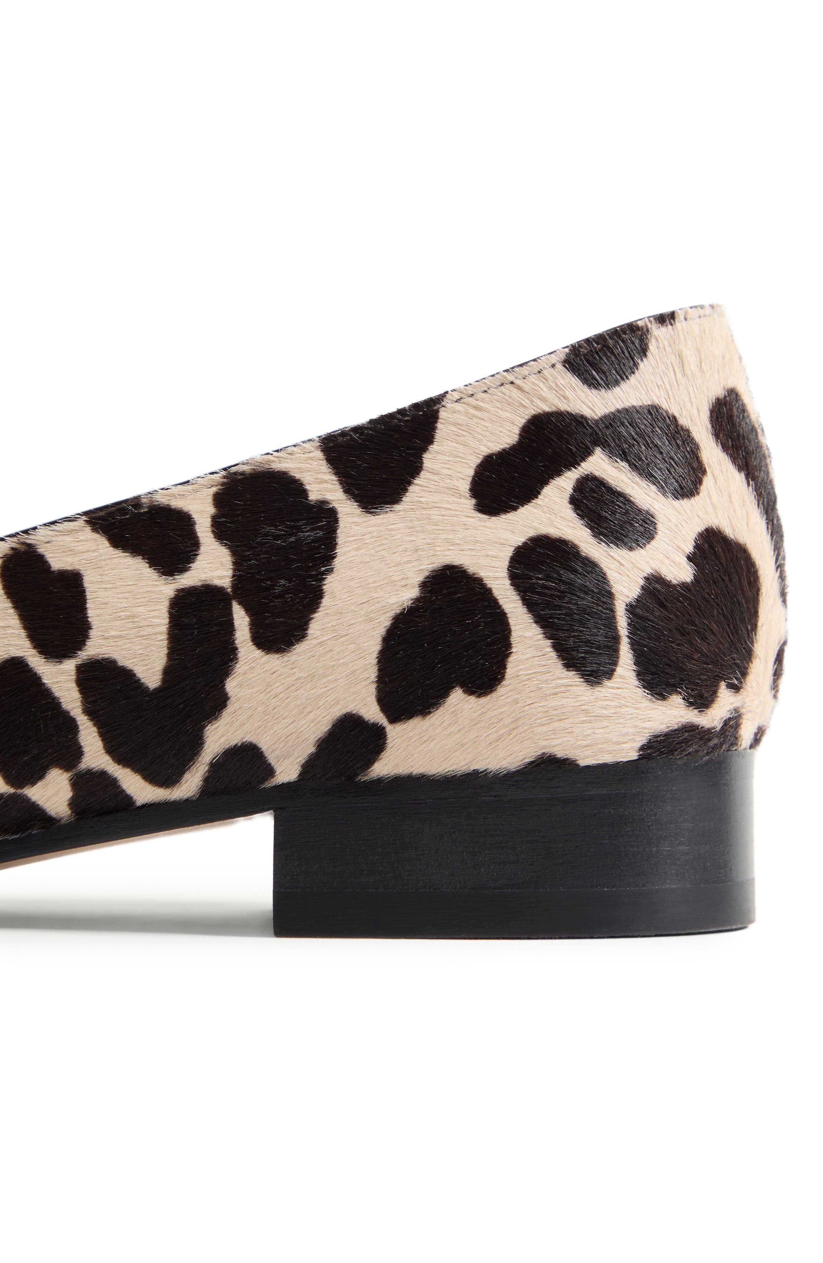 Valentino Garavani Valet du Roi Genuine Calf Hair Ballet Flat in Natural Print Calf Hair/Brown at No - 7