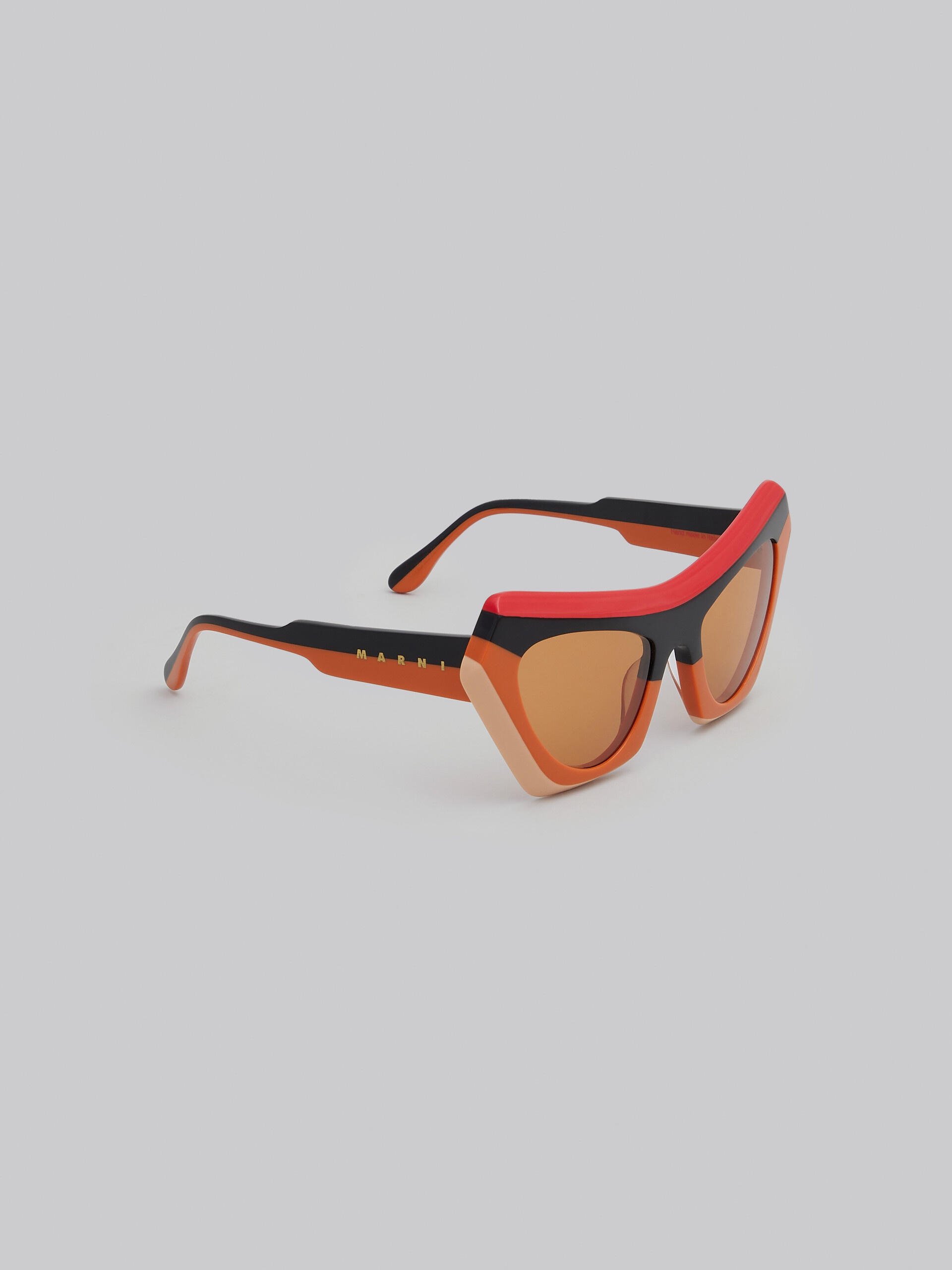 DEVIL'S POOL STRIPED SUNGLASSES - 2