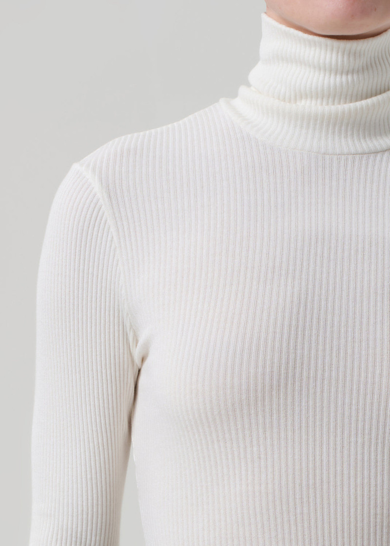 Caradene Rib Turtleneck In Pashmina 5