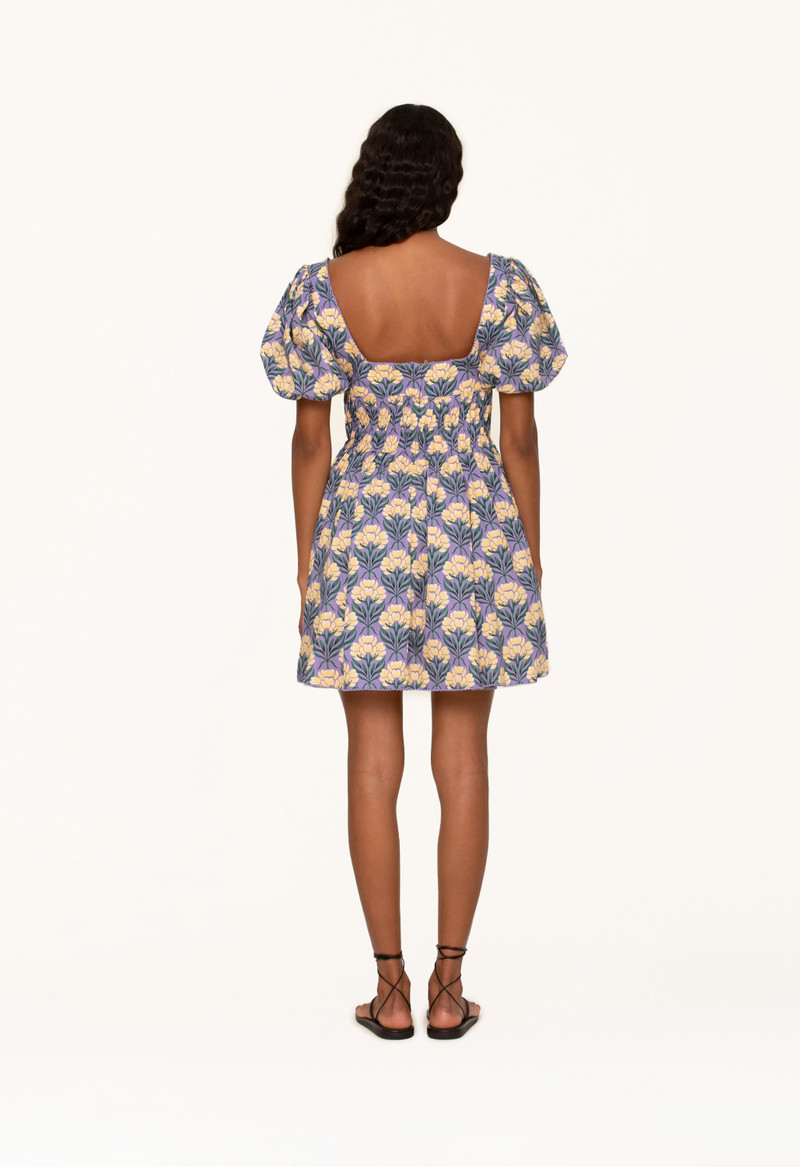 Caramelo Semilla Otoño Mini Dress 4