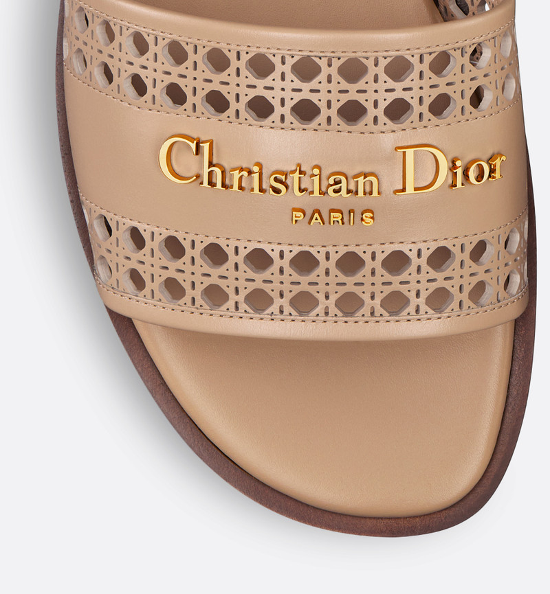 Dior D-Lane Slide outlook