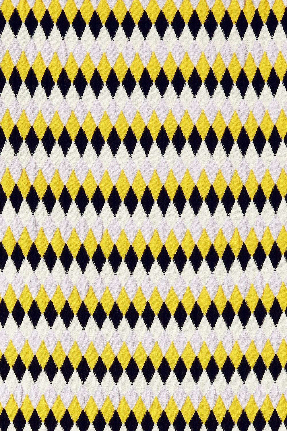 Checkers Skirt - 3