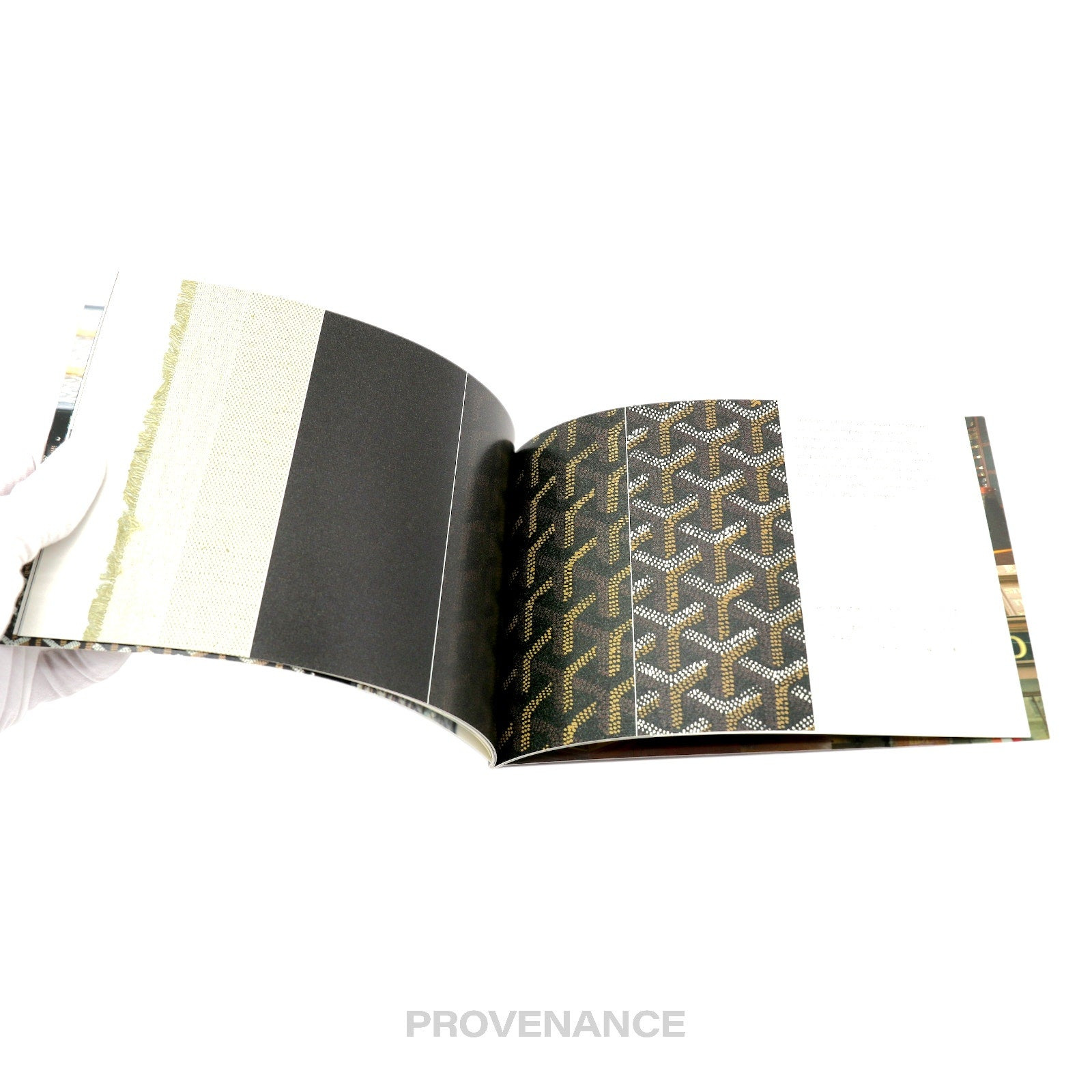 Goyard Book - 10