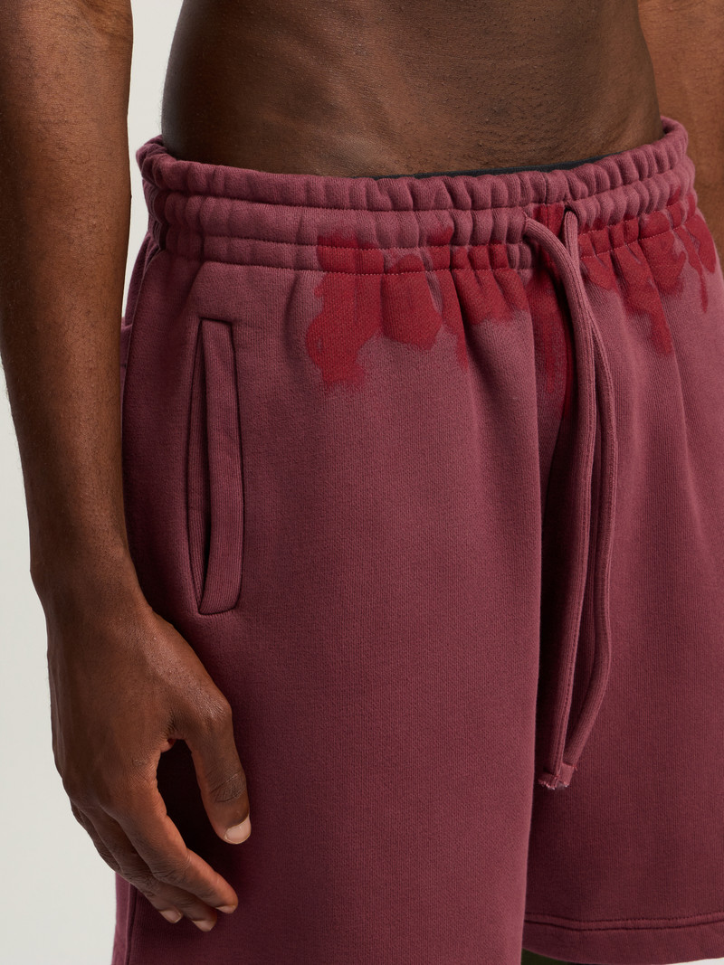 Waist Logo Sweatshort 6