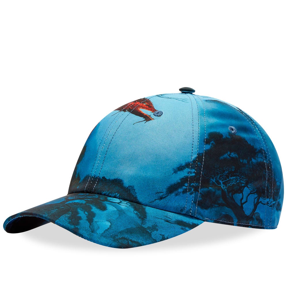 Valentino x Roger Dean Dragons Garden Baseball Cap - 1