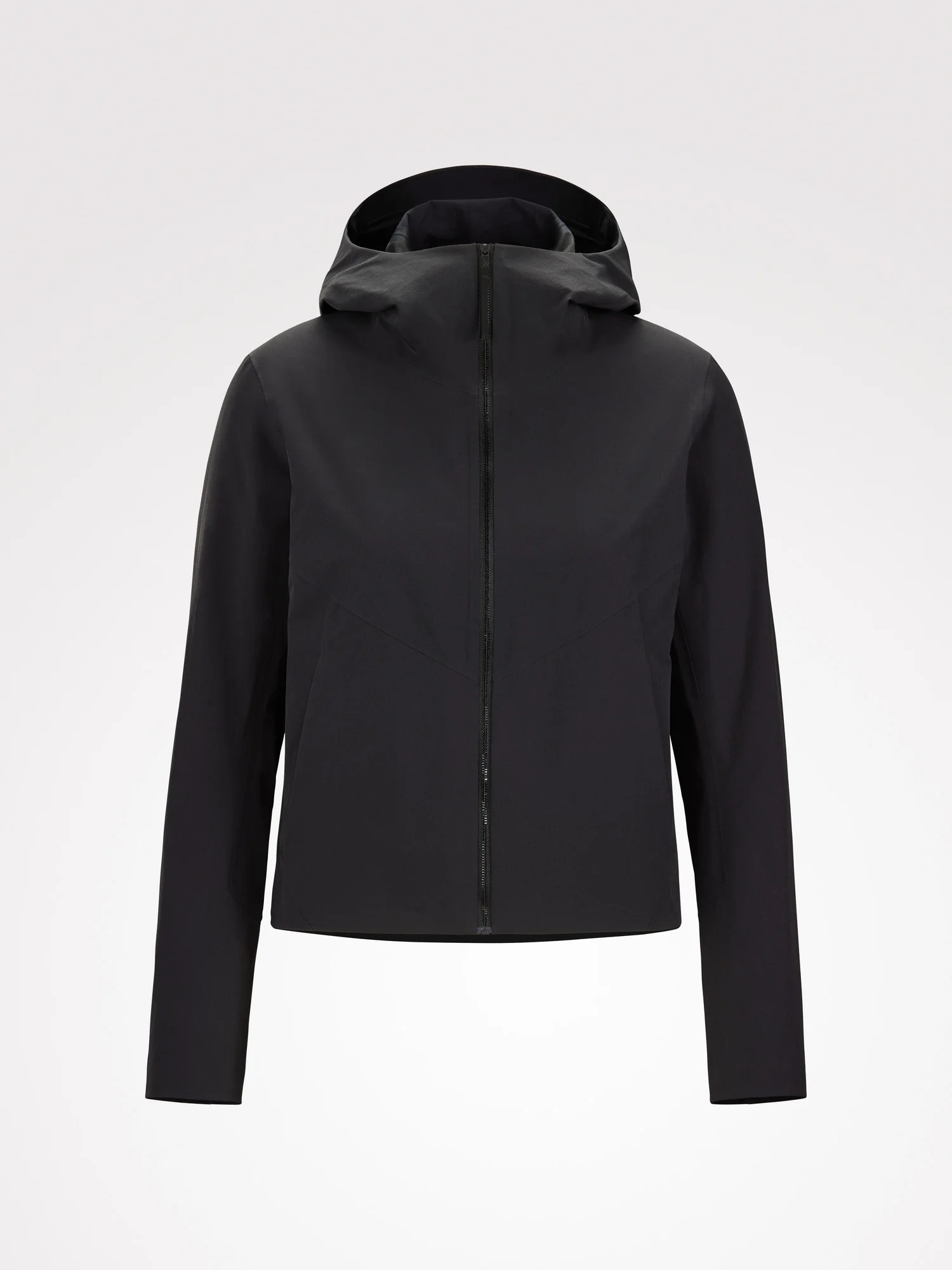 Focal Hoody - 1