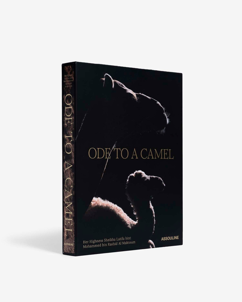 ASSOULINE Ode to a Camel outlook