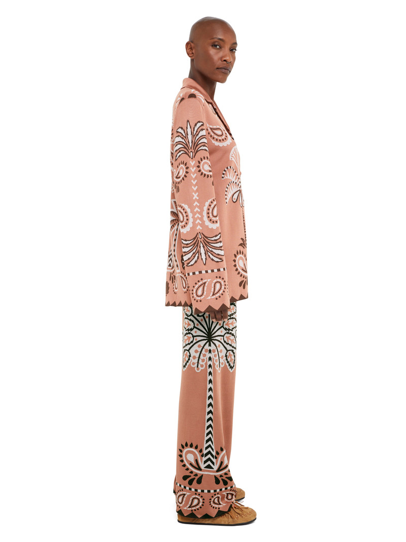 Alanui Wild Wonder Foulard Pants outlook