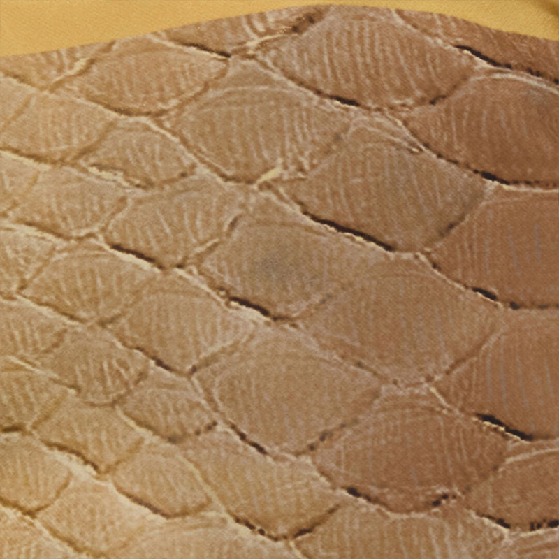 Silk Pareo with Beige and Sand Scale Print 4