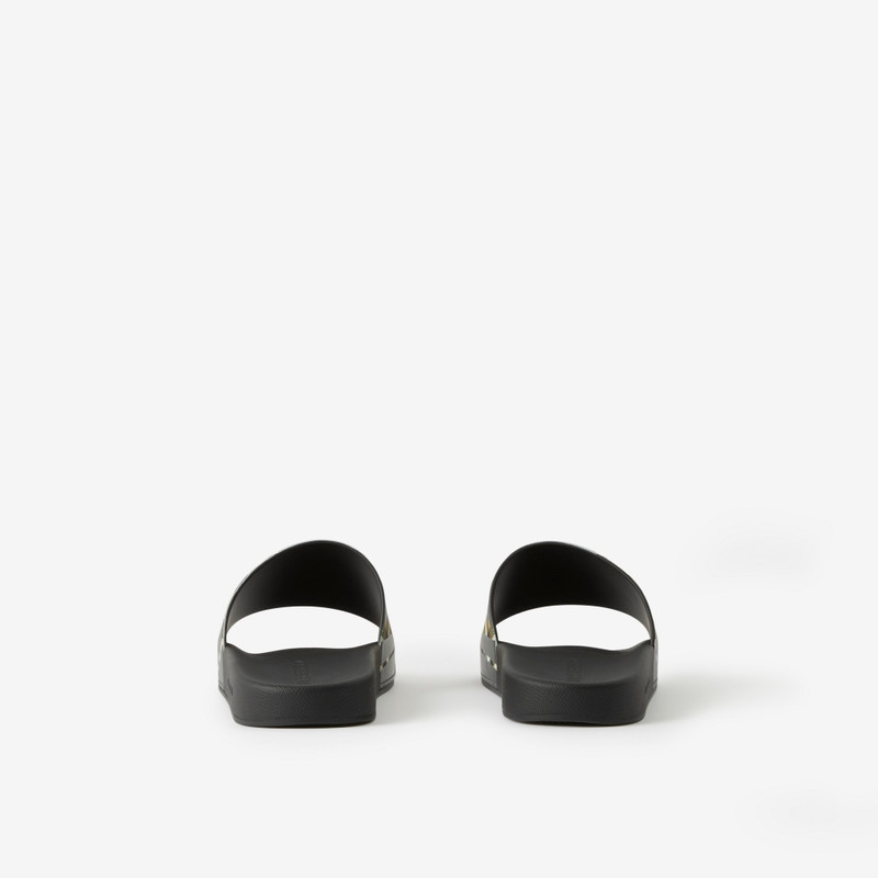 Sliced Check Print Slides 3