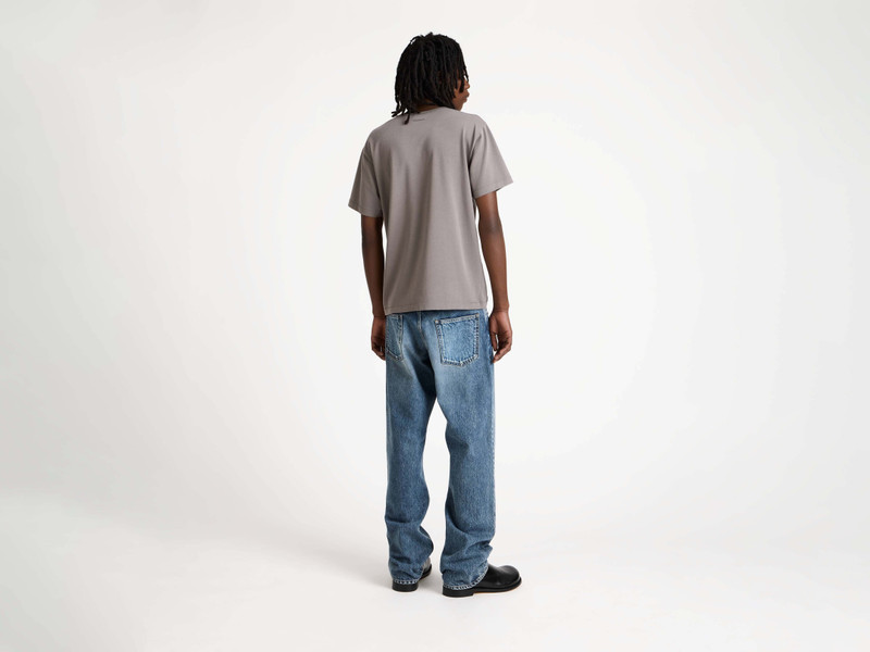 MENS PRAYING MANTIS T-SHIRT IN GREY 3