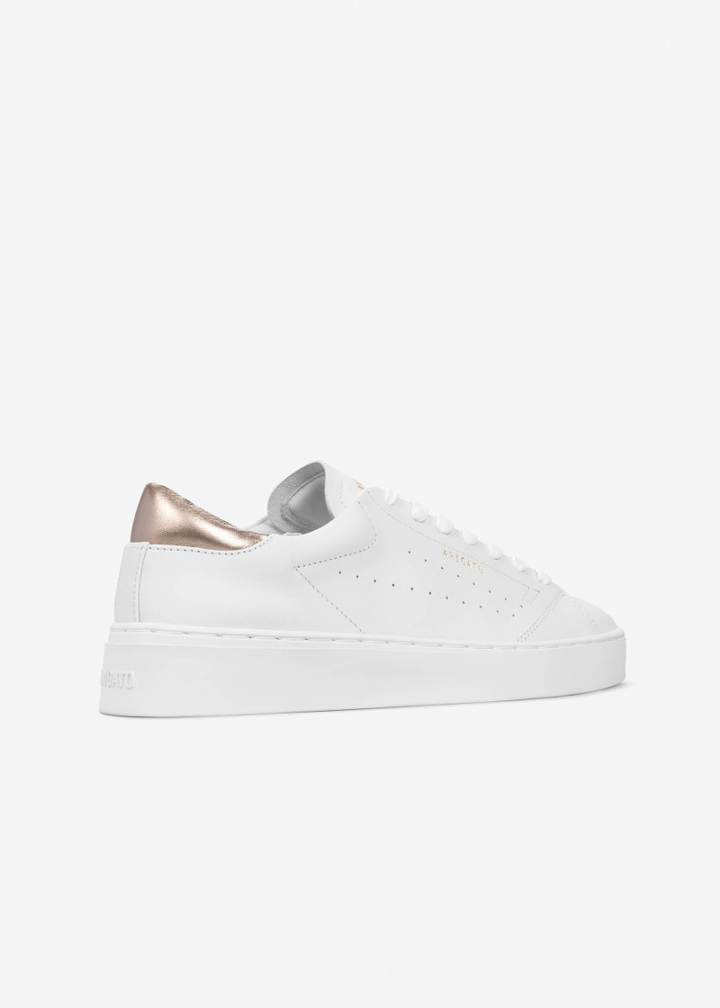 법원 Sneaker 3