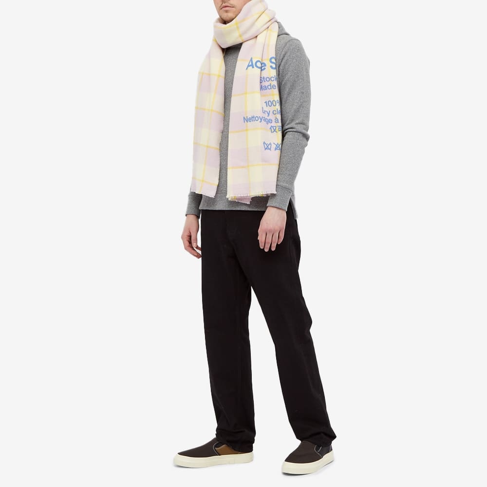 Acne Studios Cassiar Check Scarf - 4