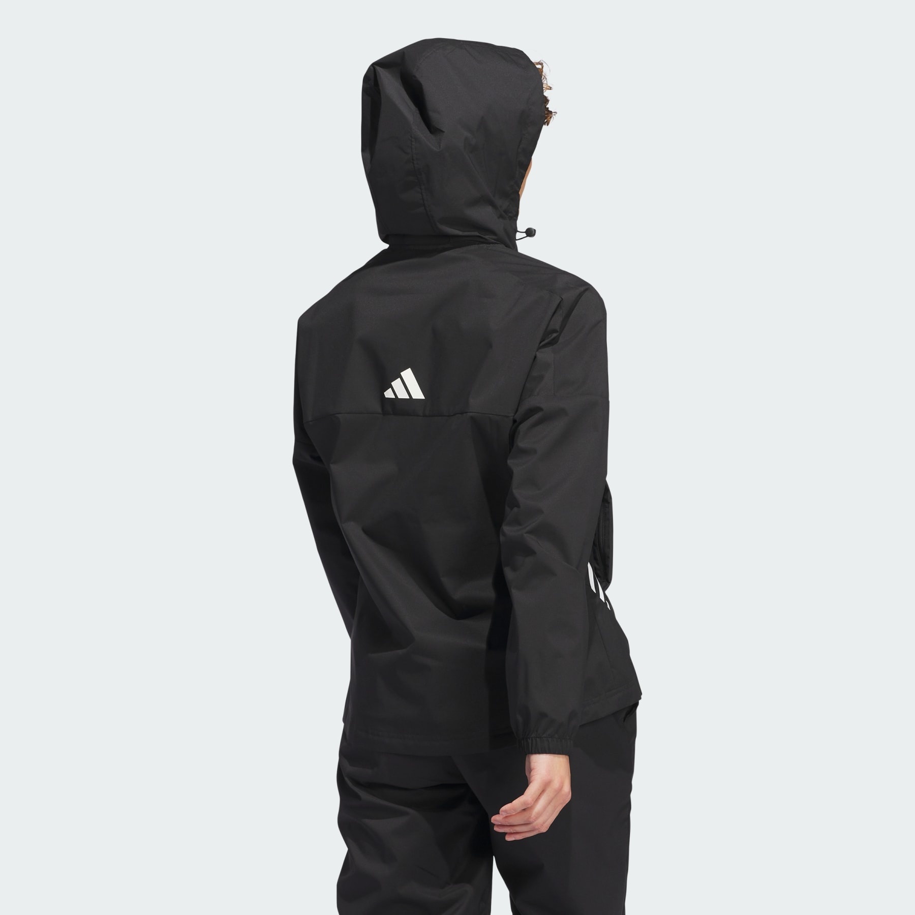 Provisional Jacket - 3