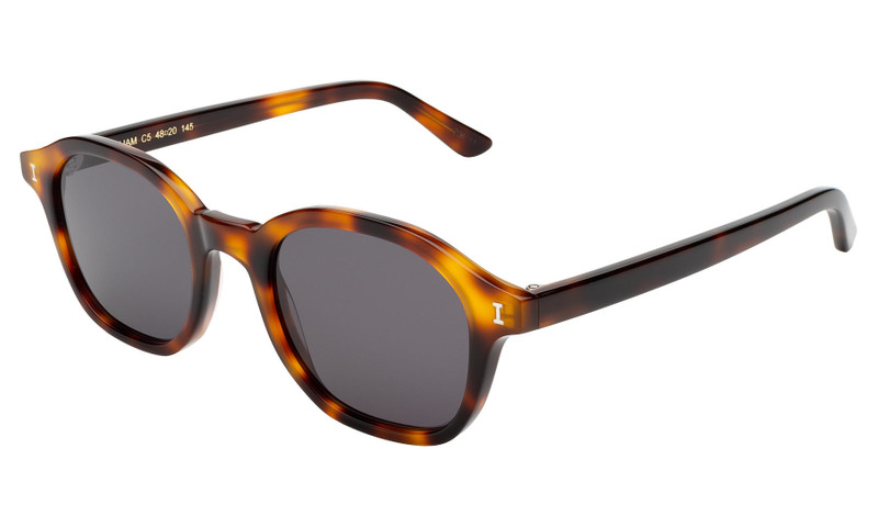 William Sunglasses 7