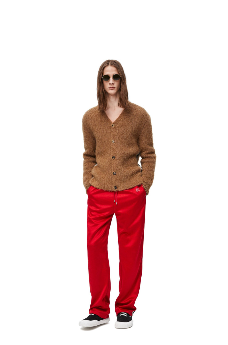 Loewe Cardigan in alpaca blend outlook