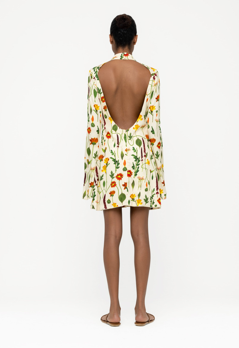 Sur Primavera Mini Dress 4