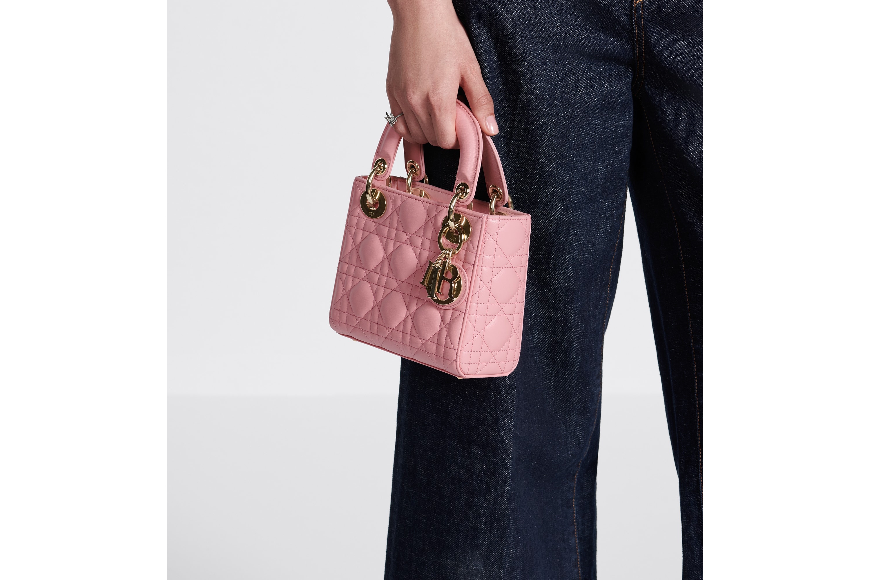 Mini Lady Dior Bag - 2