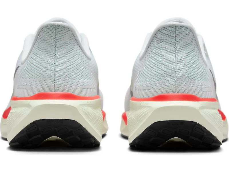 Pegasus 41 - 5