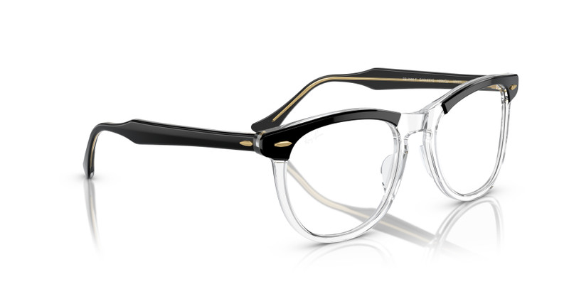 EAGLE EYE TRANSITIONS® 9
