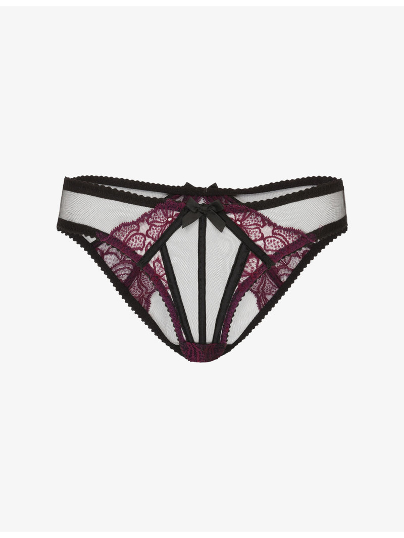 Rozlyn Ouvert Mesh and Lace Briefs 1
