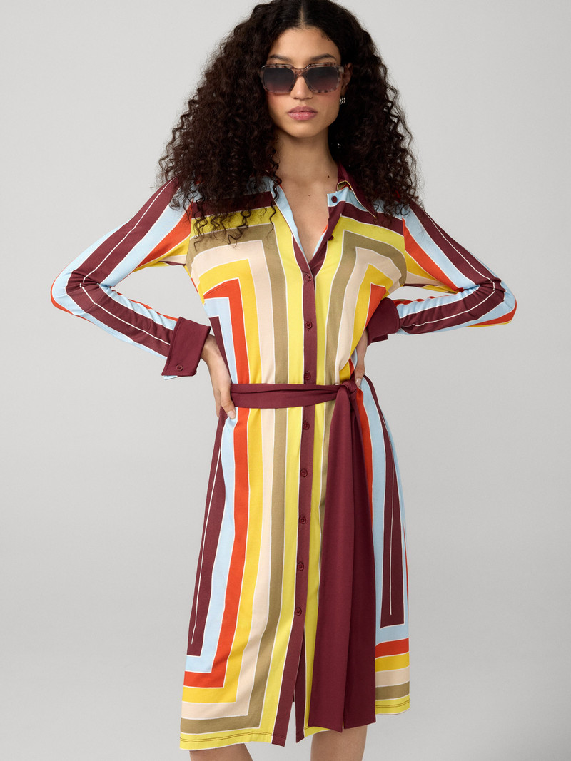 Diane Shirt Dress 4