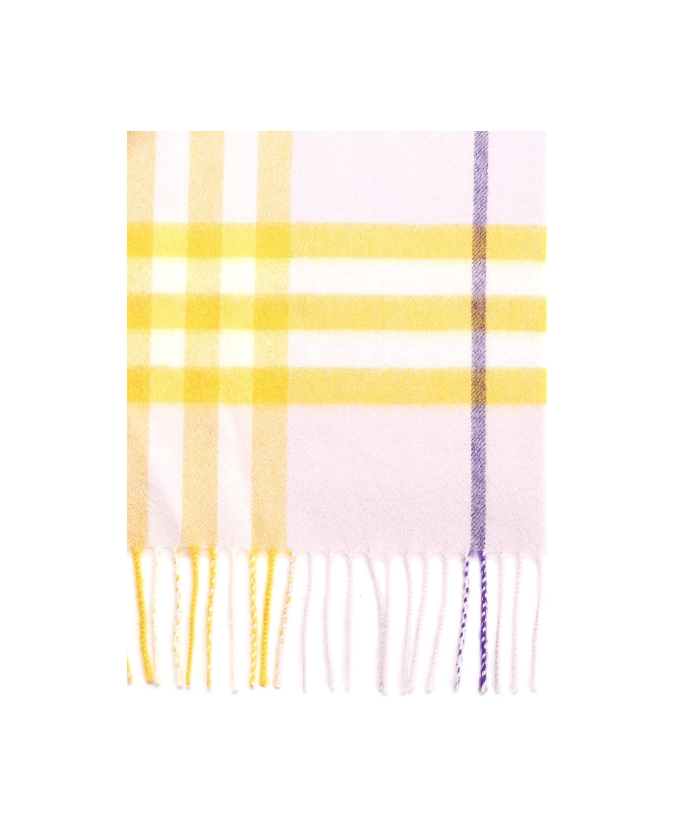 Cashmere Scarf - 2