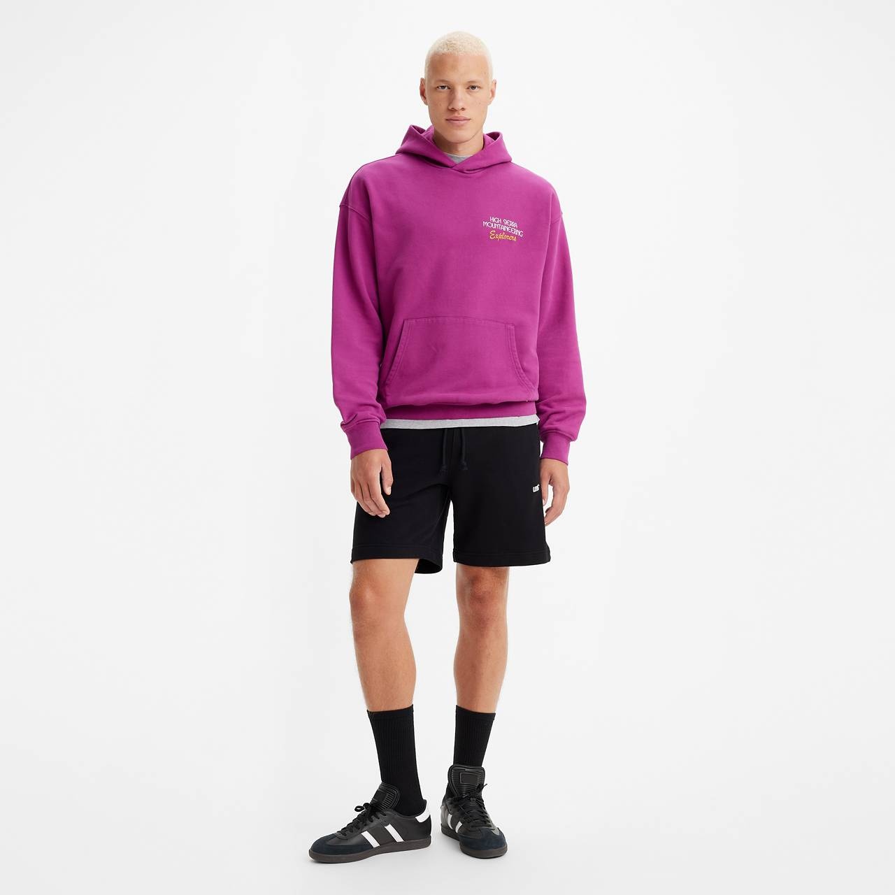 GOLD TAB™ MEN'S SWEATSHORTS - 2