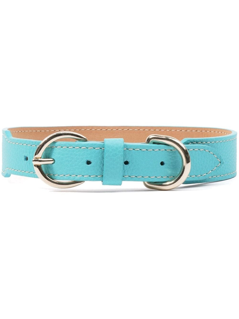 double-buckled leather dog collar 1