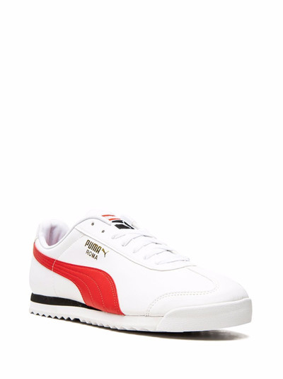 PUMA Roma Basic + low-top sneakers outlook