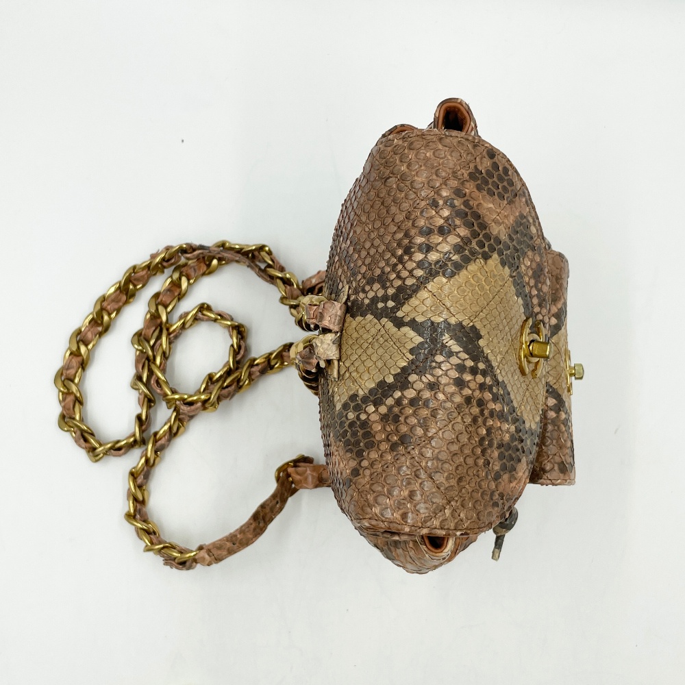 Chanel Snake Skin Duma Backpack - 7