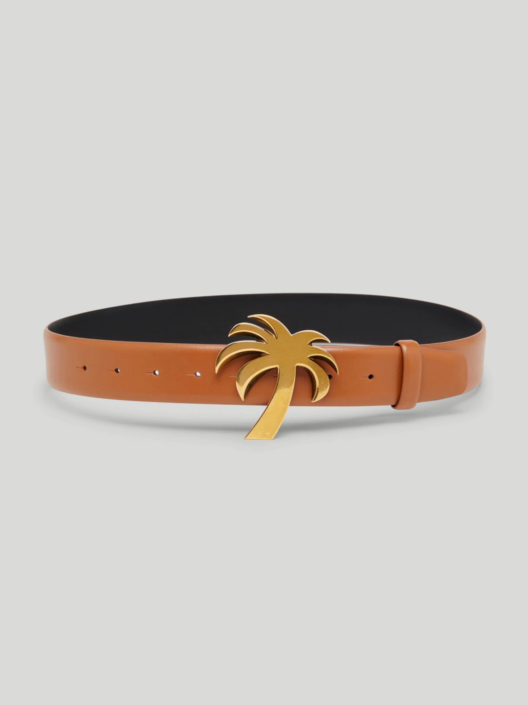 PALM BELT - 1