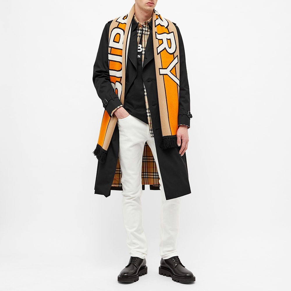 Burberry Football Scarf - 4