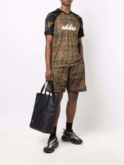 adidas leopard-print track shorts outlook