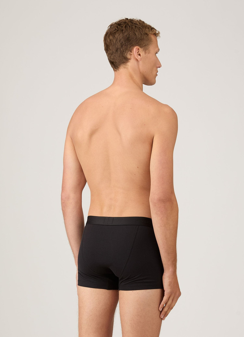 Sunspel Superfine Cotton Trunks outlook