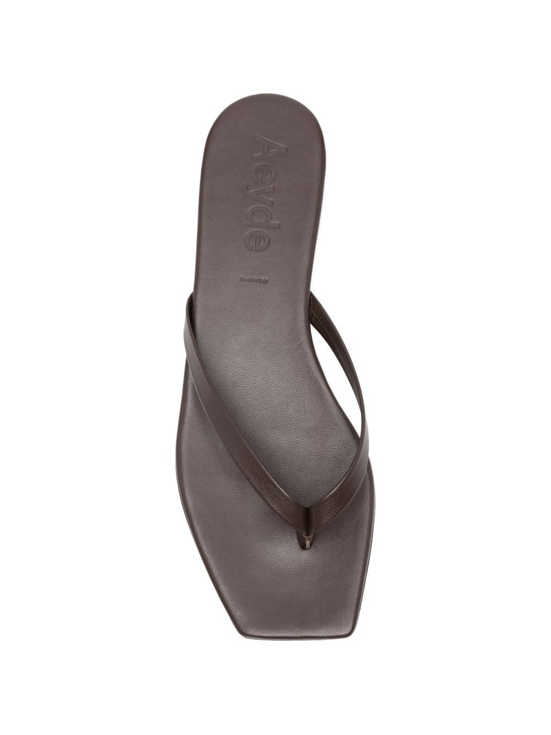 Renee flip flop 4
