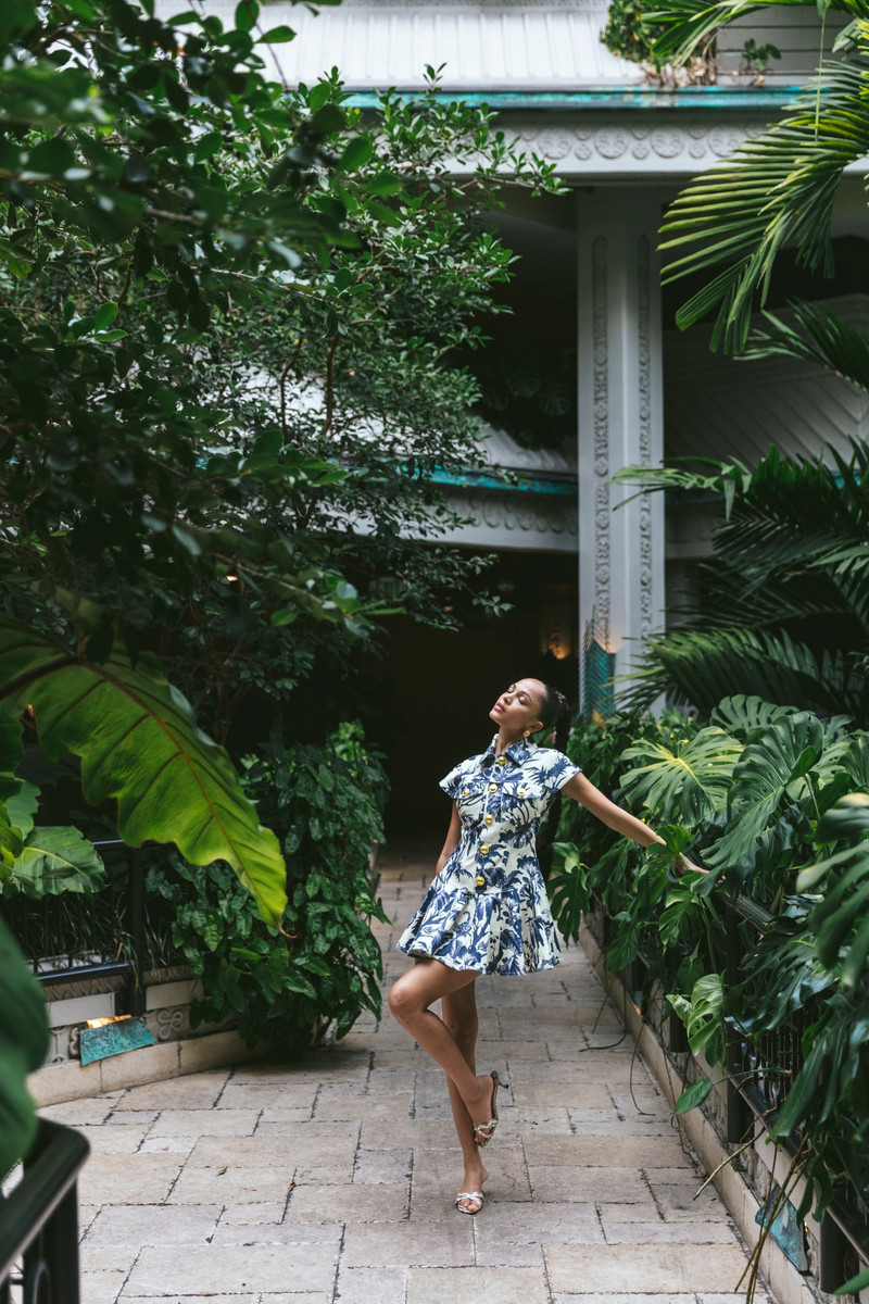 Cara Cara Ryce Dress outlook