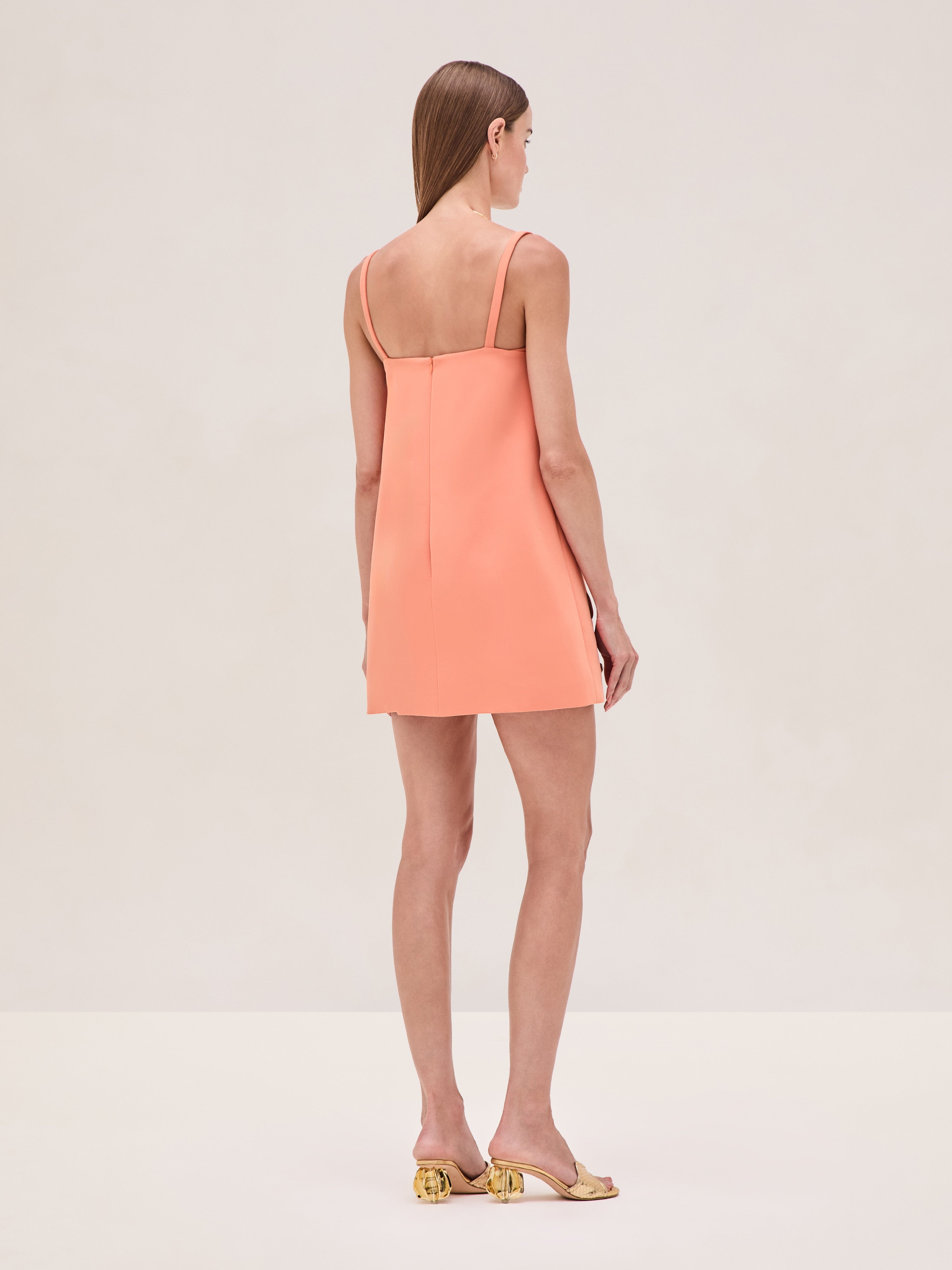 Larsen Dress - 2