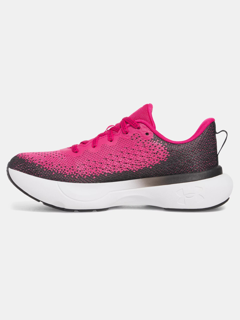 Under Armour Women's UA Infinite Running Shoes outlook