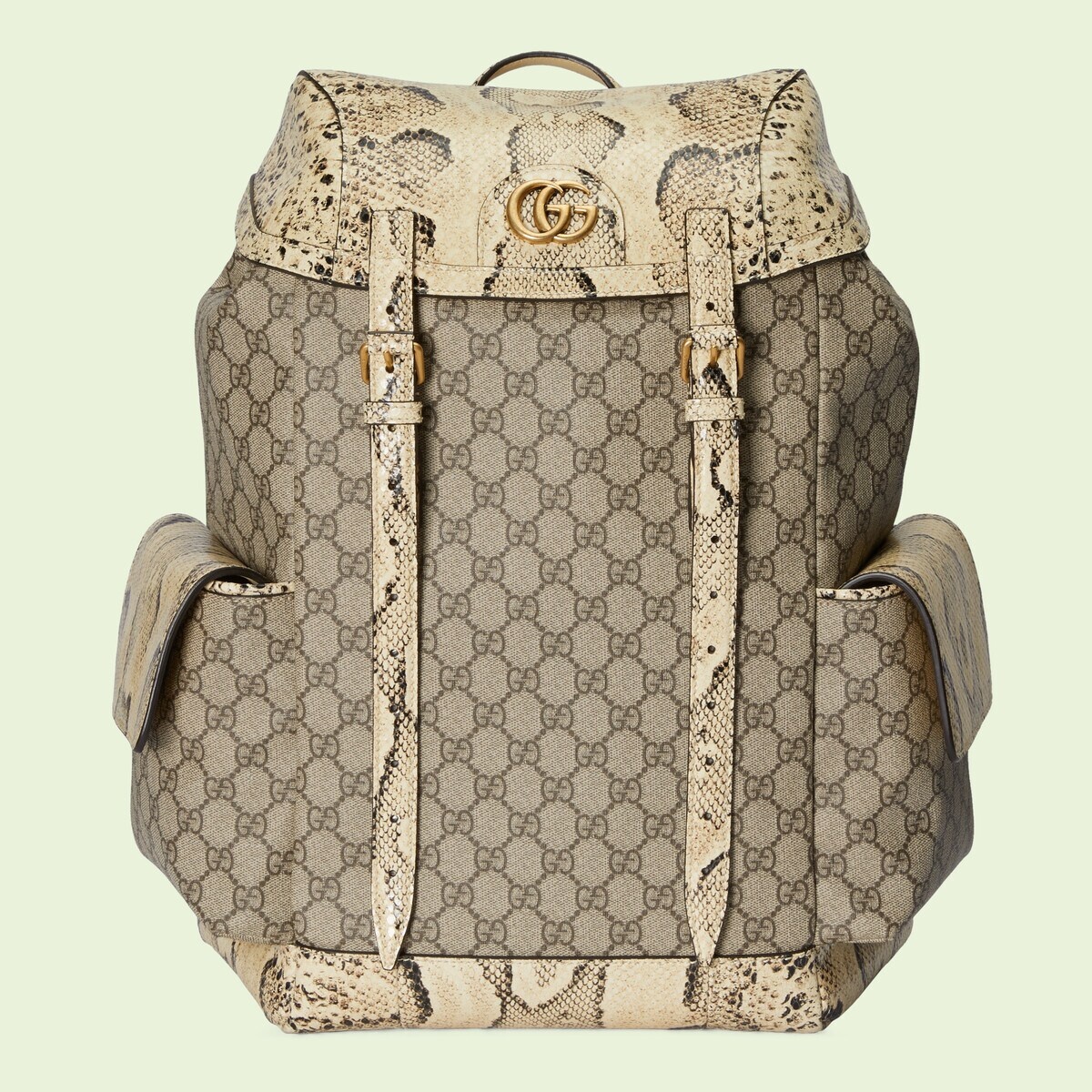 Python trim backpack with Double G - 1