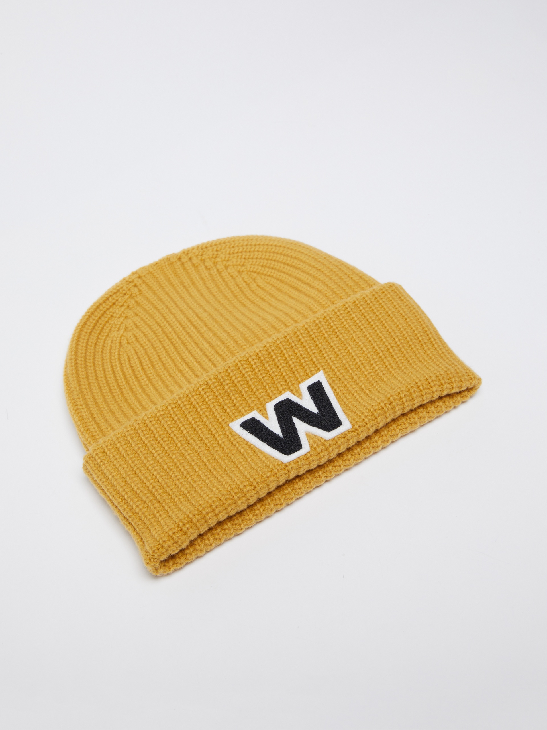 ALBEN Logo beanie hat - 2